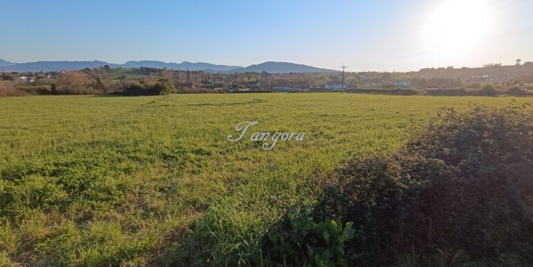 1773818504215 (Copy)