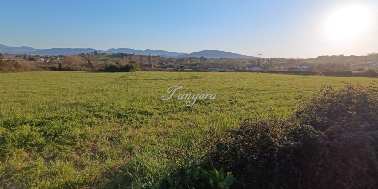 1773818504232 (Copy)