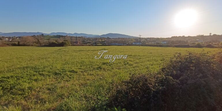 1773818504256 (Copy)