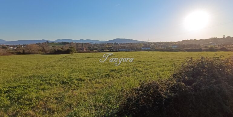 1773818504302 (Copy)