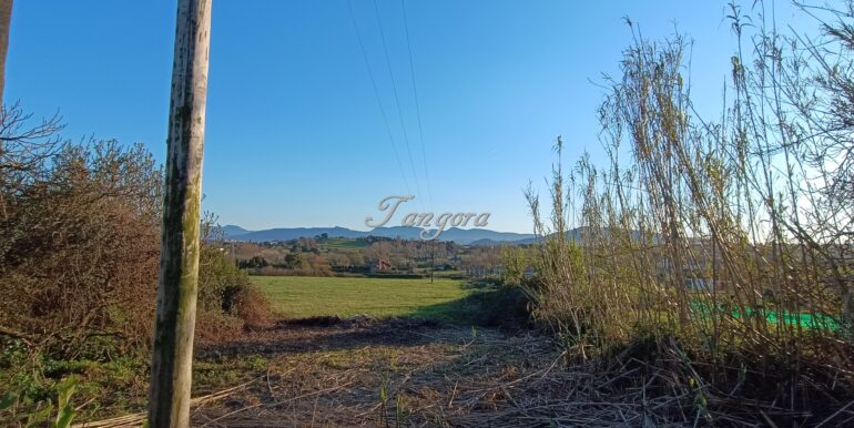 1773818504324 (Copy)