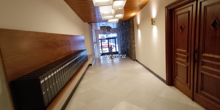 1773850727048 (Copy)