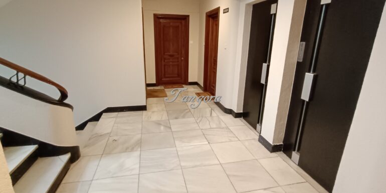 1773850727076 (Copy)