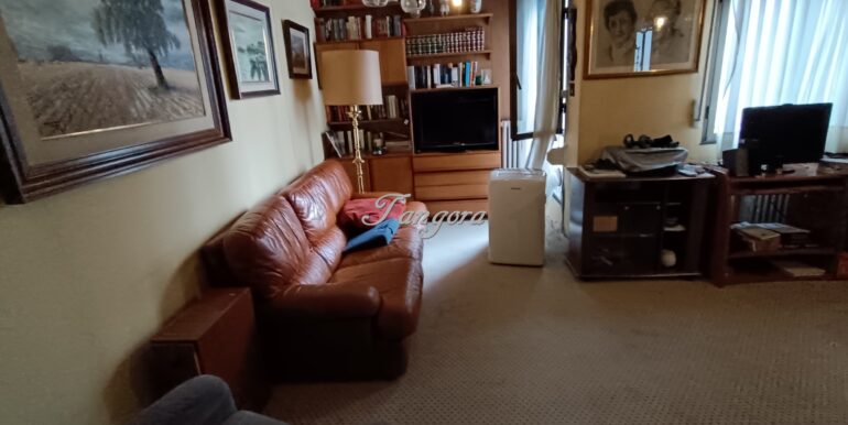 1773850727251 (Copy)