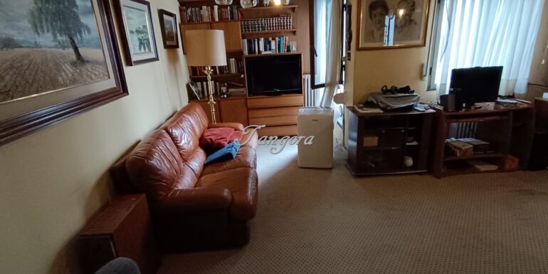 1773850727263 (Copy)