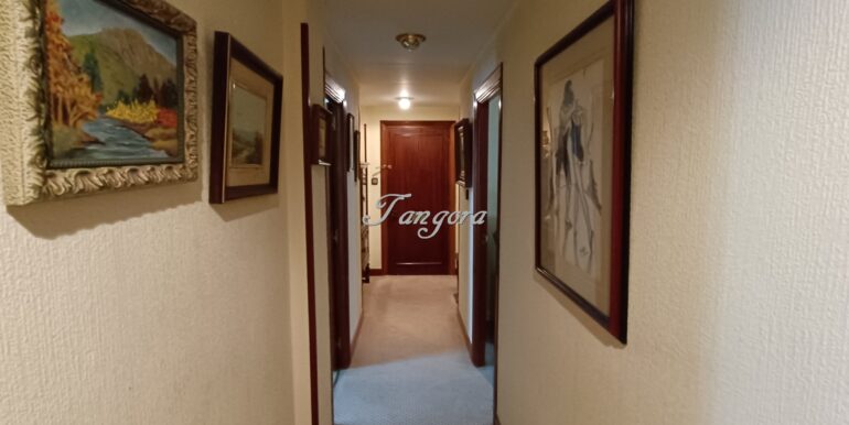 1773850771130 (Copy)