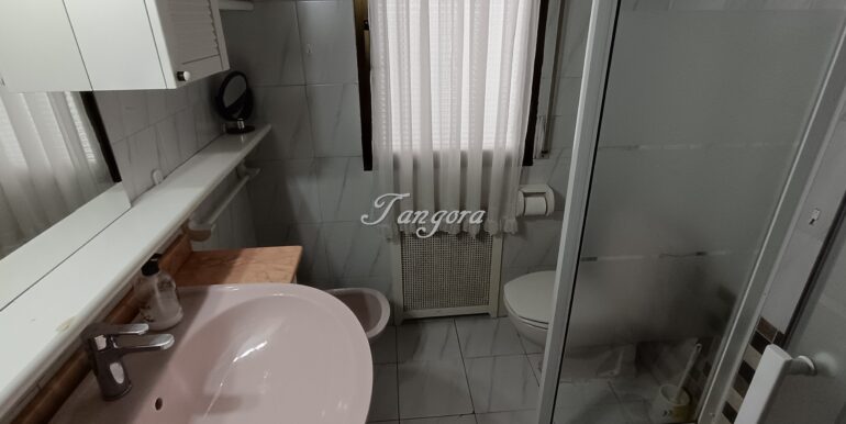 1773852874094 (Copy)