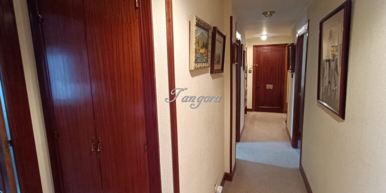 1773852890605 (Copy)