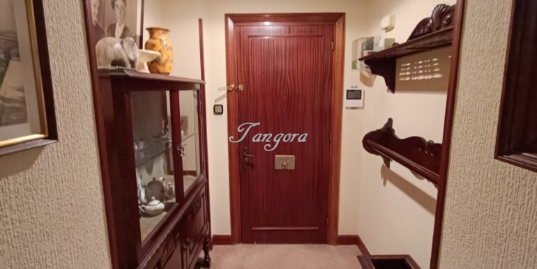 1773852890678 (Copy)