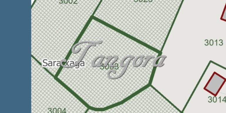 IMG-20260317-WA0027 (Copy)