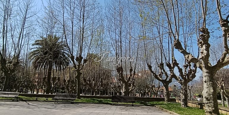 IMG_20260324_125248 (Copy)