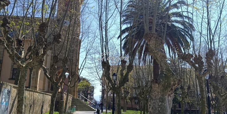 IMG_20260324_134158 (Copy)