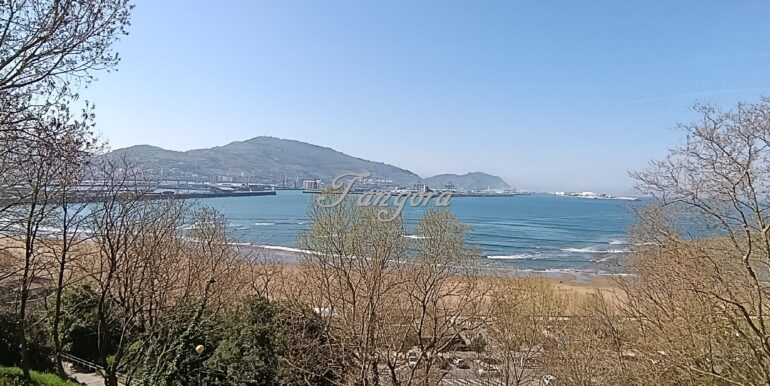 IMG_20260324_134653 (Copy)