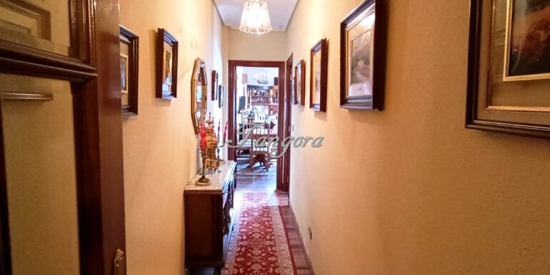 IMG_20260326_142437 (Copy)