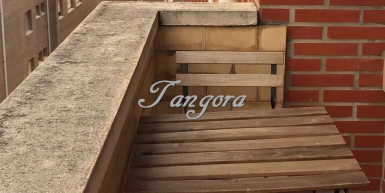 IMG-20241222-WA0011 (Copy)