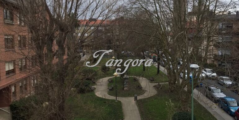 IMG-20241222-WA0019 (Copy)