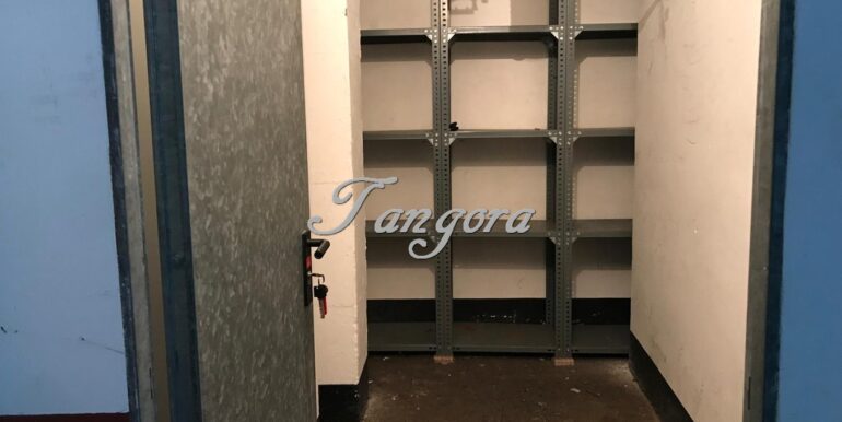 IMG-20241223-WA0017 (Copy)