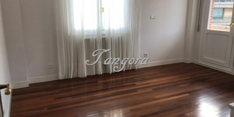 IMG-20241223-WA0052 (Copy)