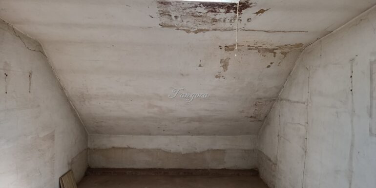 IMG_20260527_133719 (Copy)