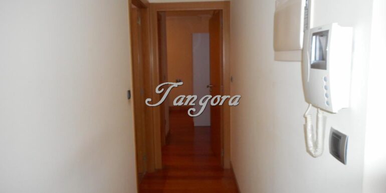 Photo12