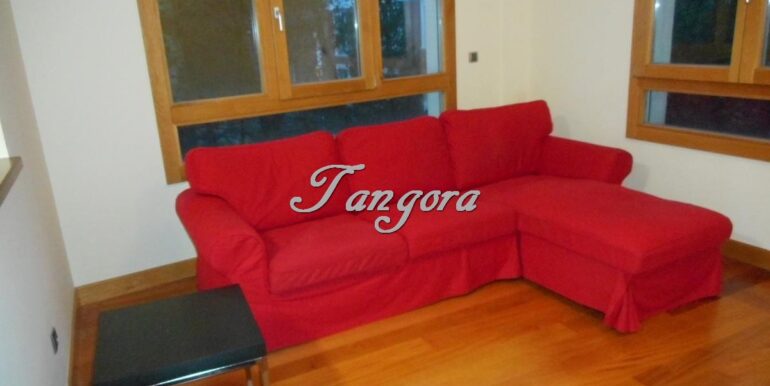 Photo5