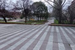 1 aparece 1 (Copy)