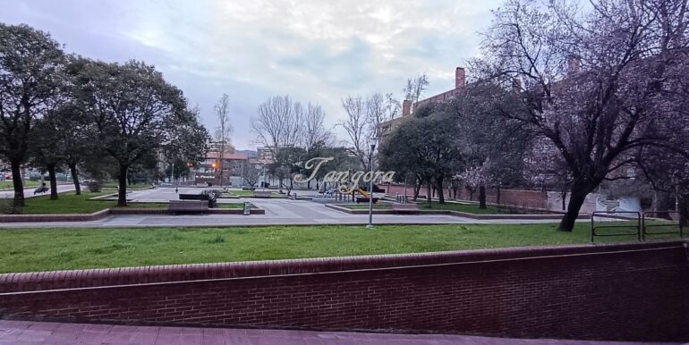 1 aparece 6 (Copy)