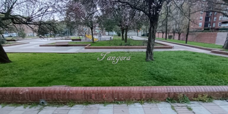 1 aparece 7 (Copy)