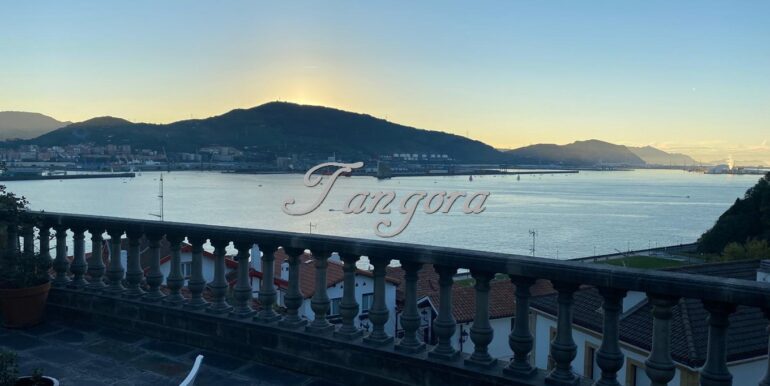 Aparece 1 (Copy)
