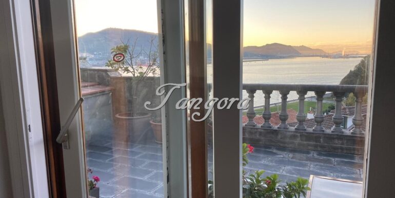Aparece 5 (Copy)