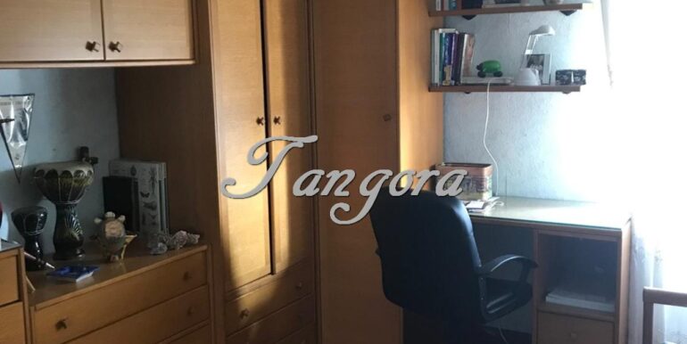 Aparece 13 (Copy)