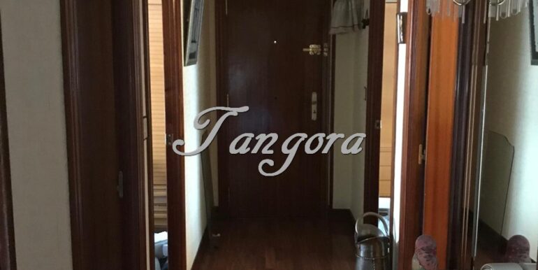 Aparece 8 (Copy)