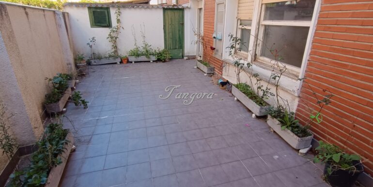 1791986752946 (Copy)